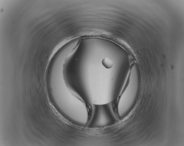 X0000080691122200612301443