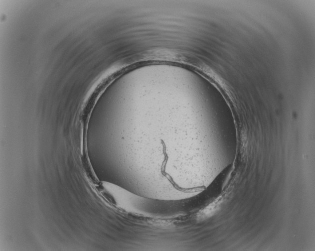 X0000080691123200612301443