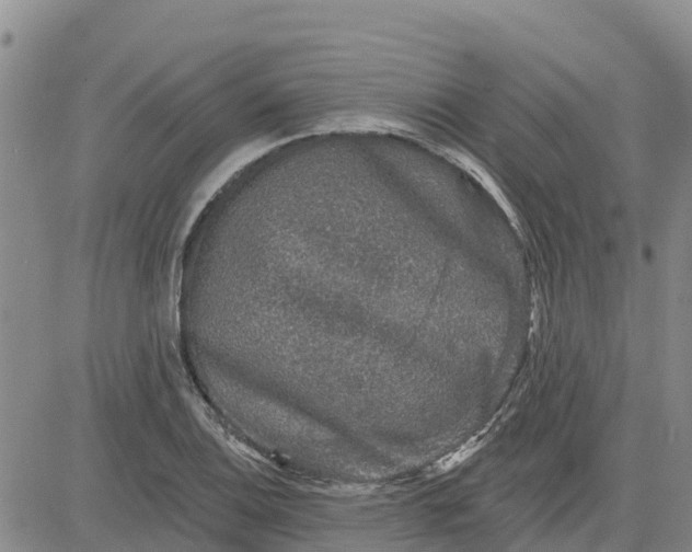 X0000080691124200612301443