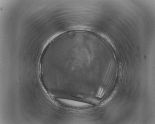 X0000080691125200612301443