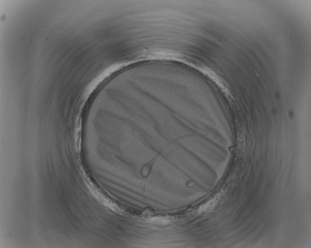 X0000080691126200612301443