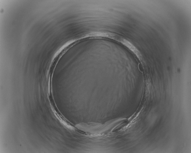 X0000080691127200612301443