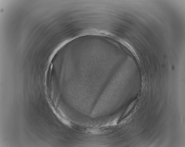 X0000080691128200612301443