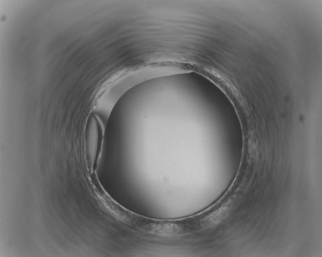 X0000080691129200612301443