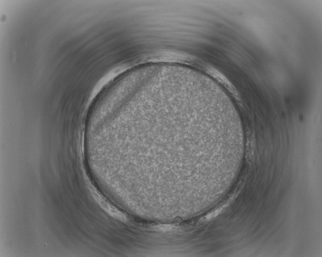 X0000080691130200612301443