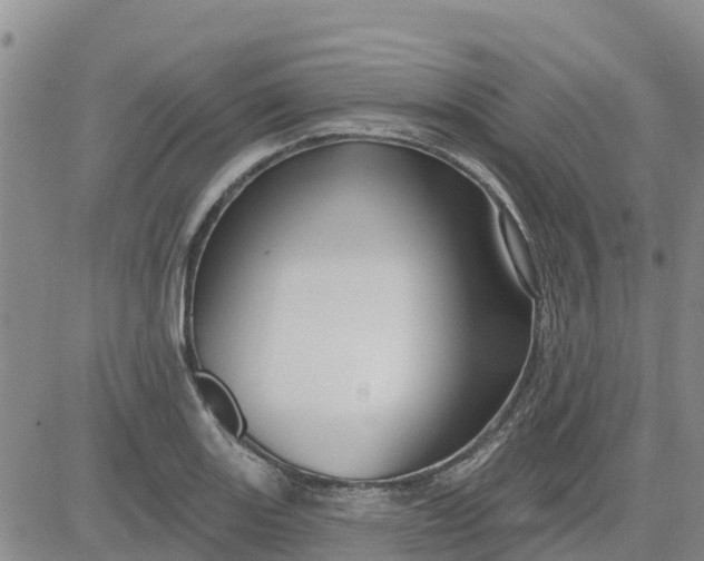 X0000080691131200612301443