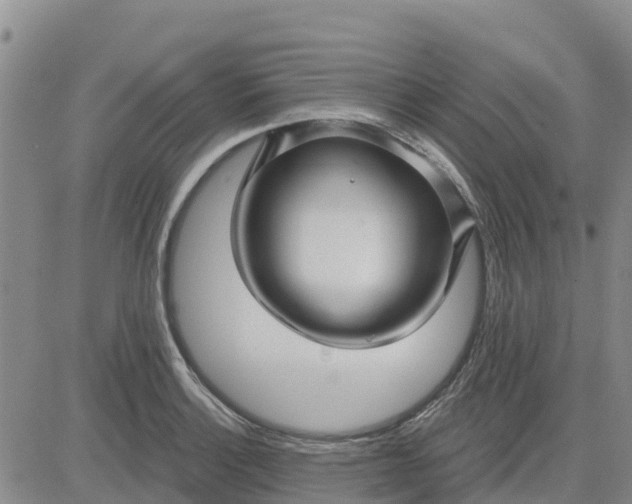 X0000080691132200612301443