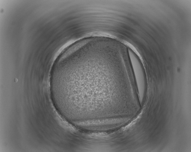 X0000080691133200612301443