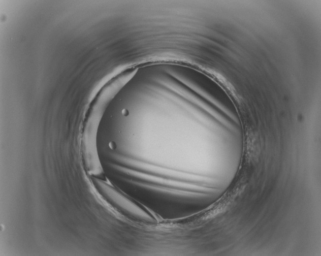 X0000080691134200612301443