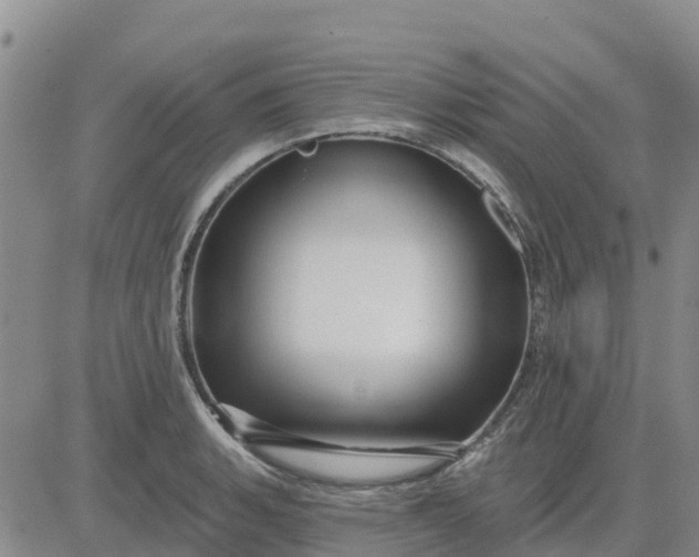 X0000080691135200612301443