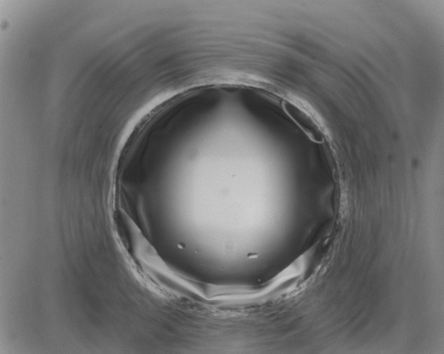 X0000080691136200612301443