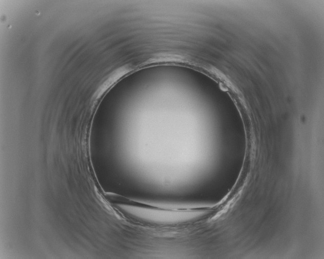 X0000080691137200612301443