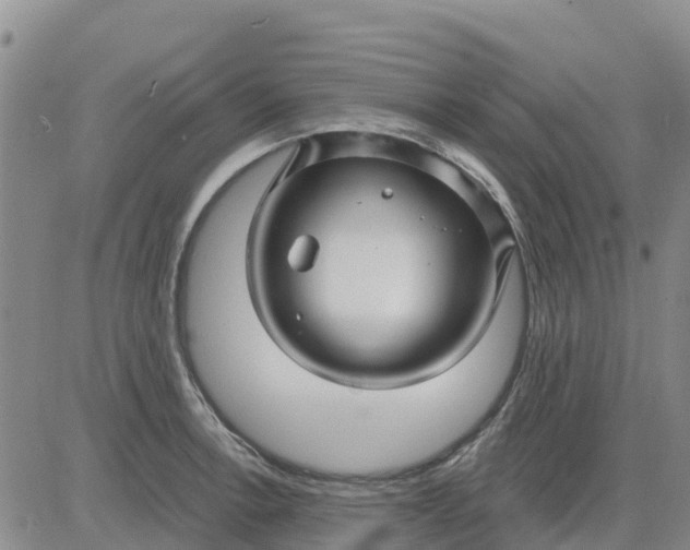 X0000080691138200612301443