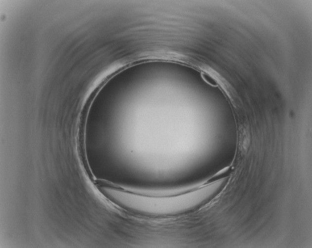 X0000080691139200612301443