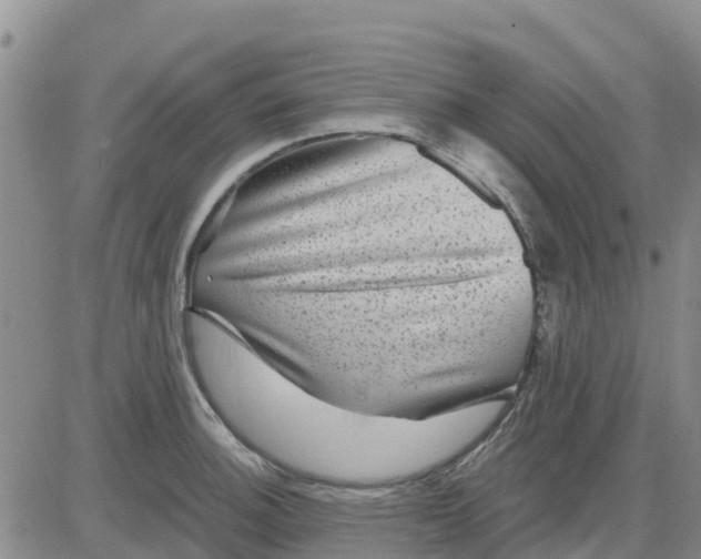 X0000080691140200612301443