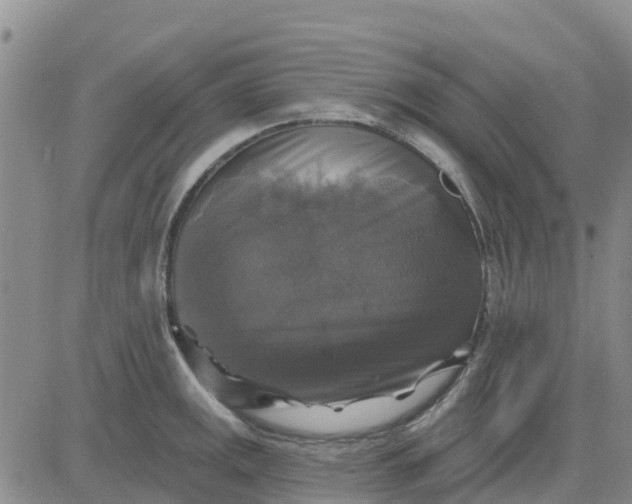 X0000080691141200612301443