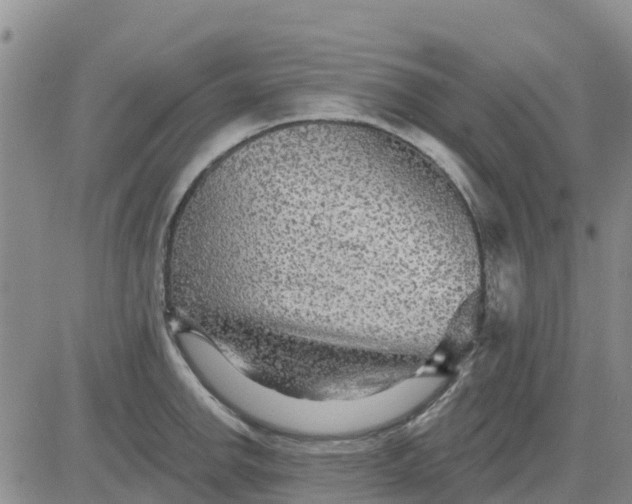 X0000080691142200612301443