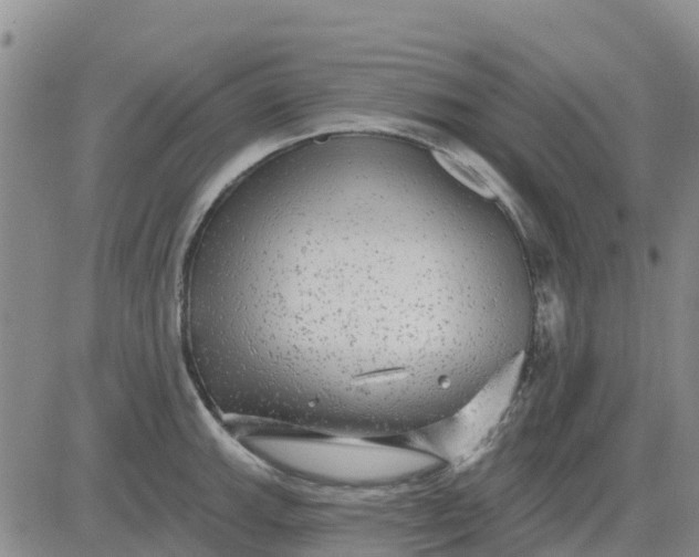 X0000080691143200612301443