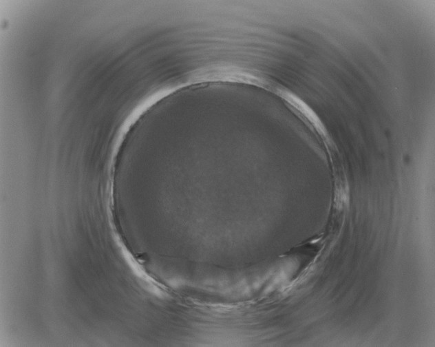 X0000080691144200612301443