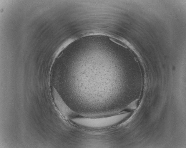 X0000080691145200612301443