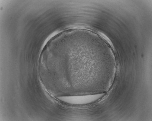 X0000080691146200612301443