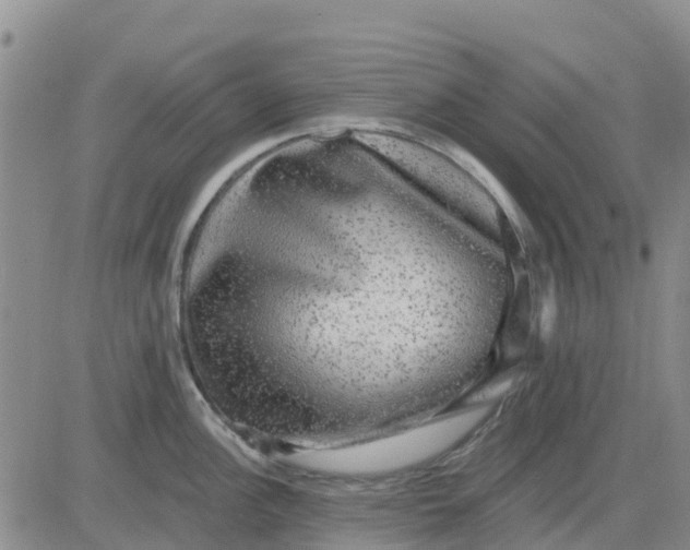 X0000080691148200612301443