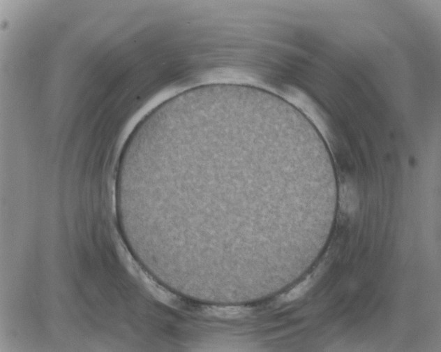 X0000080691150200612301443