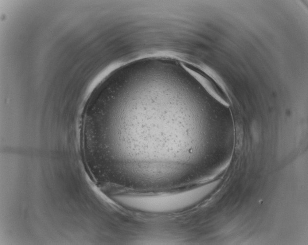 X0000080691151200612301443