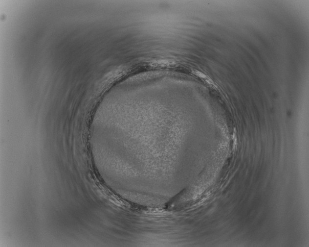 X0000080691153200612301442