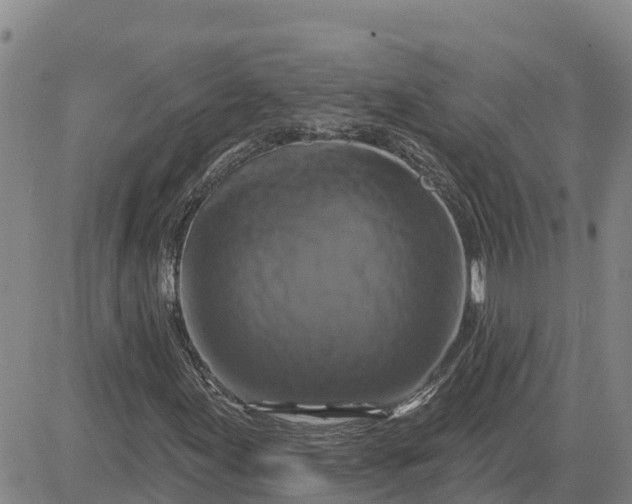 X0000080691155200612301442