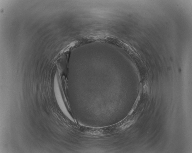 X0000080691156200612301442