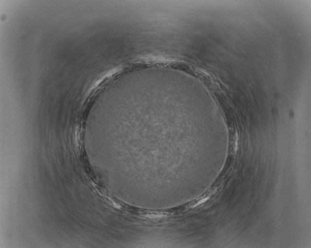 X0000080691157200612301442