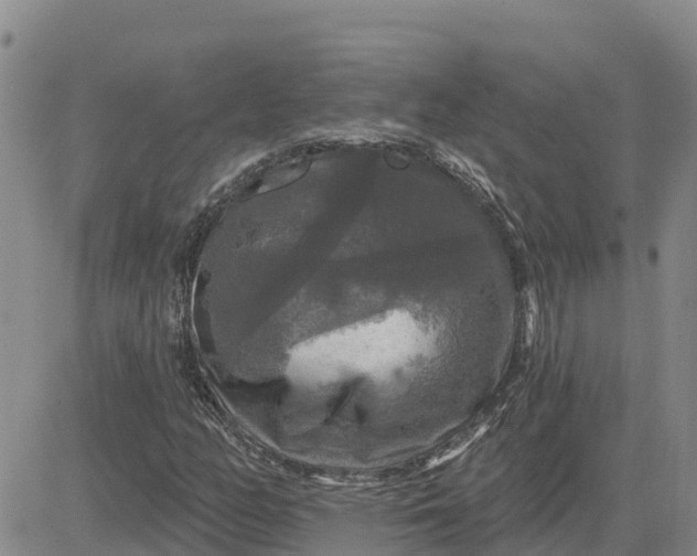 X0000080691158200612301442