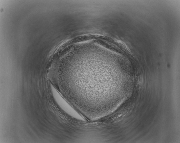 X0000080691159200612301442