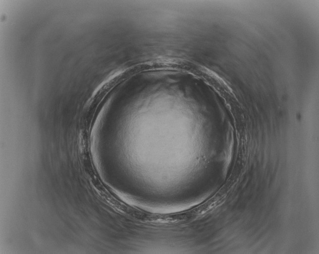 X0000080691160200612301442