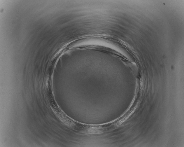 X0000080691161200612301442