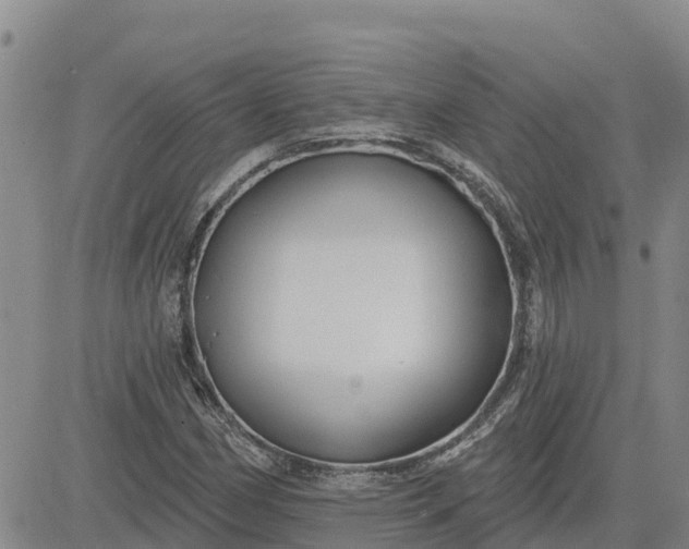 X0000080691162200612301442