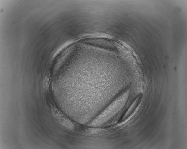 X0000080691163200612301442