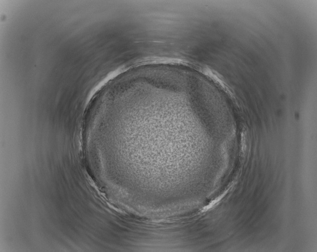 X0000080691165200612301442