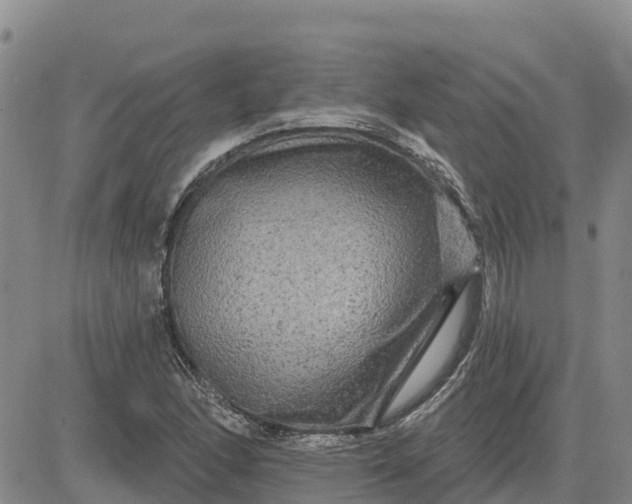 X0000080691166200612301442