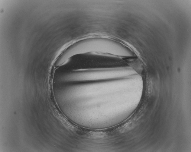 X0000080691168200612301442