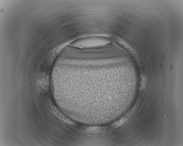 X0000080691169200612301442