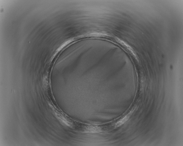 X0000080691170200612301442