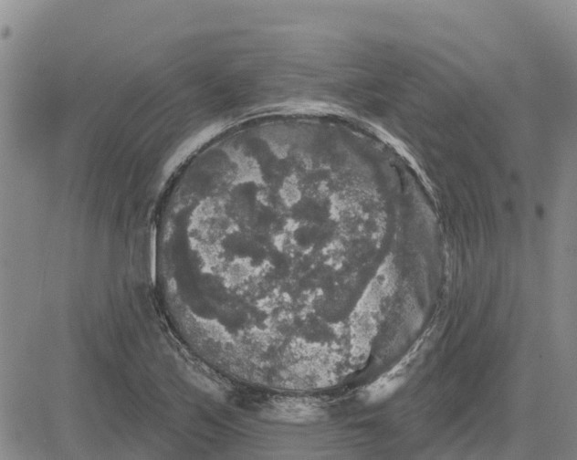 X0000080691171200612301442