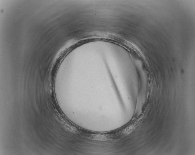 X0000080691172200612301442