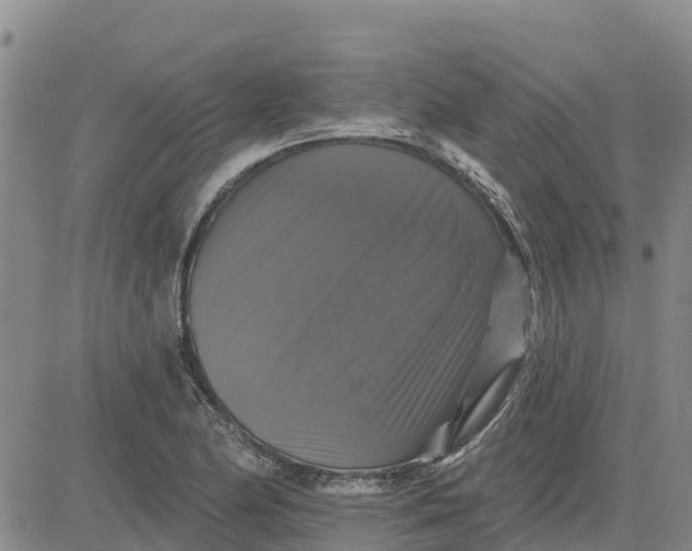 X0000080691174200612301442