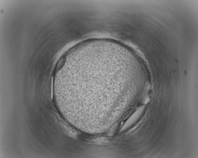 X0000080691175200612301442