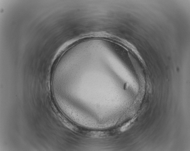 X0000080691176200612301442