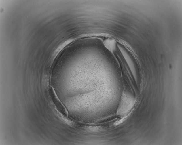 X0000080691177200612301442