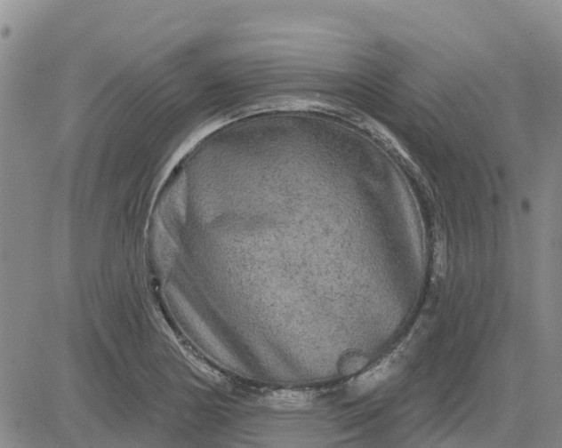 X0000080691178200612301442